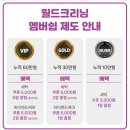 월드VIP세탁 이미지