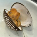 여수섬 칼국수 | 여수 현지인 찐맛집 추천 점심식사 줄서는식당 여수섬칼국수 후기