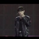 웃게해줄개 이미지