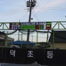 합덕초교 이미지