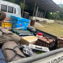 차평낚시터 이미지