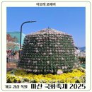 도서관에서 세계사 여행 | 마산 국화축제 3.15 해양공원 합포 수변공원 대한민국 민주주의 전당 자황 방문 후기