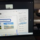 클레어잉글리쉬 | 롱런잉글리시 성인화상영어 후기, 화상영어회화 왕초보 후기