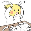 공차계룡엄사점