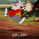 앨리스 in WONDERLAND 이미지