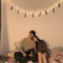 오반 이미지