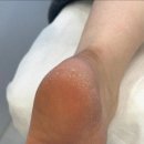 하이푸스 피오레네일 양주옥정점 네이버블로그