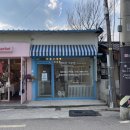 펫피르그루밍 이미지