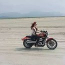 조형기 카카오 검색결과