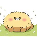 슈야