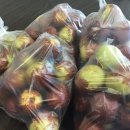 햇빛촌 농원 이미지