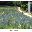 평화마루 이미지