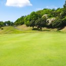 호반서서울 주식회사 이미지