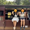 우정아이파크작은도서관 | 호주여행기5 #멜버른(상)편 #시드니멜버른호바트#1월2월호주여행 #내돈내산후기 #우정여행기록