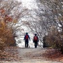 만추의 우이령 산책 이미지