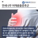연세나무정형외과의원 이미지