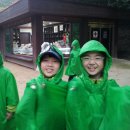 모락초등학교 이미지