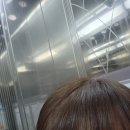 원남로-6 | 4월 첫째 주 기록 ② - 먹고 꽃보고 돌아다니고 행복하고