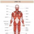 벤치프레스 시작 전 제발 도와주세용 ㅠ 이미지