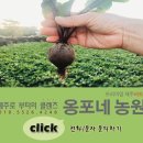 어드레감디