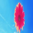 오늘해 네일 이미지