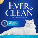 크린에버 이미지