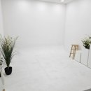 언니네3층 이미지