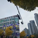 지나핑퐁