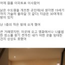 H7784 이미지