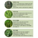 글로벌오일연구소 이미지