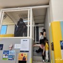 사쿠사쿠시즌2(신장점) | 시흥 대형 키즈카페 다이나믹온 후기｜유아·초등 액티비티 스포츠존