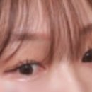 안경나라위드렌즈 이미지