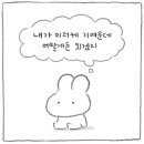 라라스시 이미지