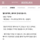 아리아돌스 | 부산 돌상대여 정보 공유