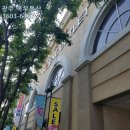 세정공인중개사사무소 이미지