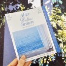 앨리스 달튼 브라운 회고전 후기 일상 속 스며든 빛의 전시 더현대 서울