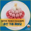 하얀어린이집 | 소규모 돌잔치 답례떡, 어린이집 떡케이크 준비 후기(해들담)