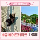 화원동산 동물원 | [세종 나들이] 베어트리파크에서 눈물 나도록 힐링한 하루 – 수목원과 동물원이 함께한 감성 산책