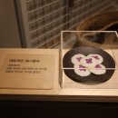 울주민속박물관 이미지