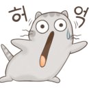 죠이풀법인
