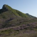 대전신일여자고등학교 이미지