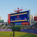 pet31고1704 | 불꽃야구 파이터즈 vs 부산고 사직구장 직관 후기(불꽃놀이 영상)
