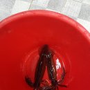 옥산1동 이미지