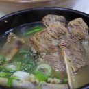 서울깍두기 - 음성군 시장로 19 | 서울깍두기