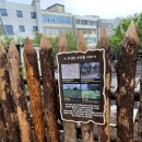 상동 지석묘군 이미지