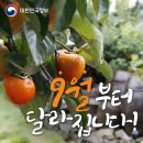 피닉스동물병원 | [내돈내산 후기] 양준상의원 | 치료 29~30주차 기록 및 16차 비대면 진료