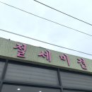 절세미견 이미지