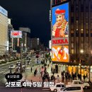 비아5일시장 | 삿포로 겨울 여행 비에이투어 포함 4박 5일 일정 공유 꿀팁