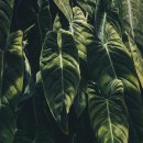 백록담한의원 이미지