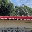 세화 동백그늘 이미지